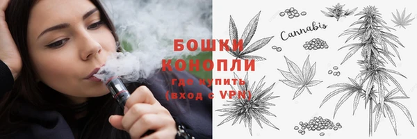 ПСИЛОЦИБИНОВЫЕ ГРИБЫ Елабуга