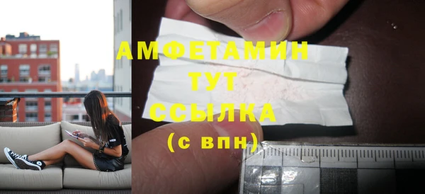 дурь Ельня