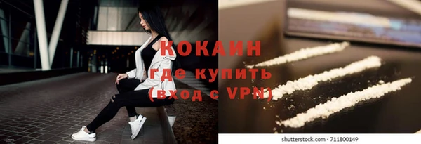 дурь Ельня