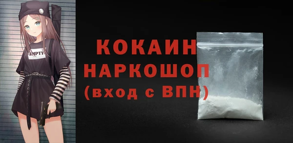 дурь Ельня