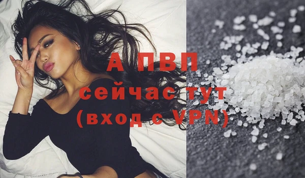 ПСИЛОЦИБИНОВЫЕ ГРИБЫ Елабуга