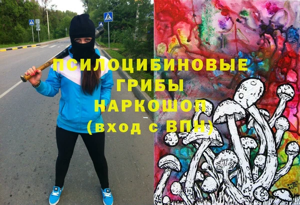ПСИЛОЦИБИНОВЫЕ ГРИБЫ Елабуга