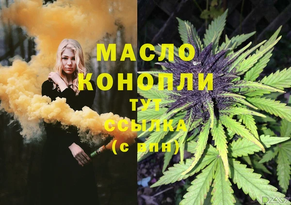 ПСИЛОЦИБИНОВЫЕ ГРИБЫ Елабуга