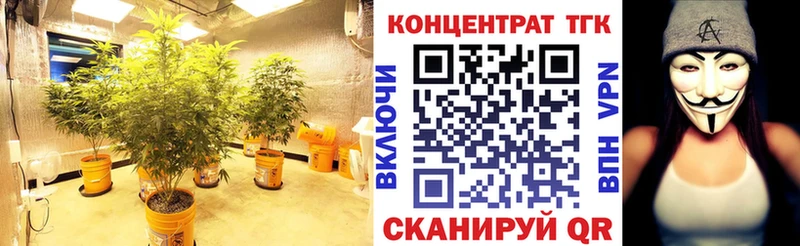 Купить закладки  Кохма  Дистиллят ТГК гашишное масло 